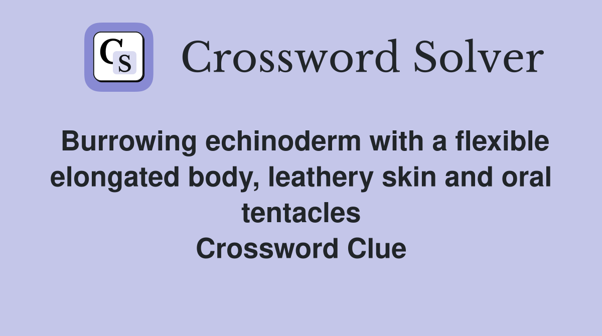 Burrowing echinoderm with a flexible elongated body, leathery skin and